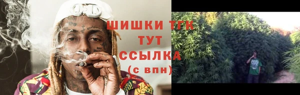 СК Волоколамск