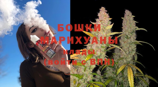 СК Волоколамск